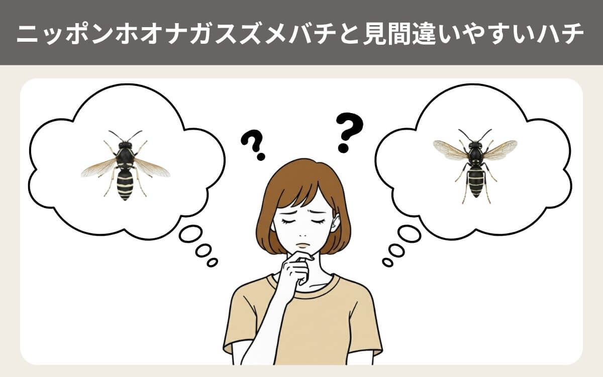ニッポンホオナガスズメバチと見間違いやすいハチ