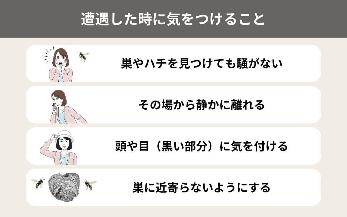 ニッポンホオナガスズメバチに遭遇したら4選