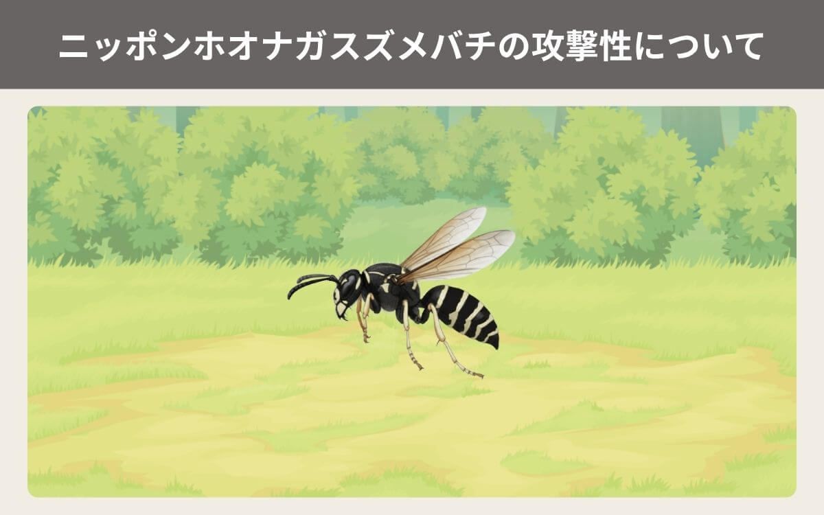 ニッポンホオナガスズメバチの攻撃性について