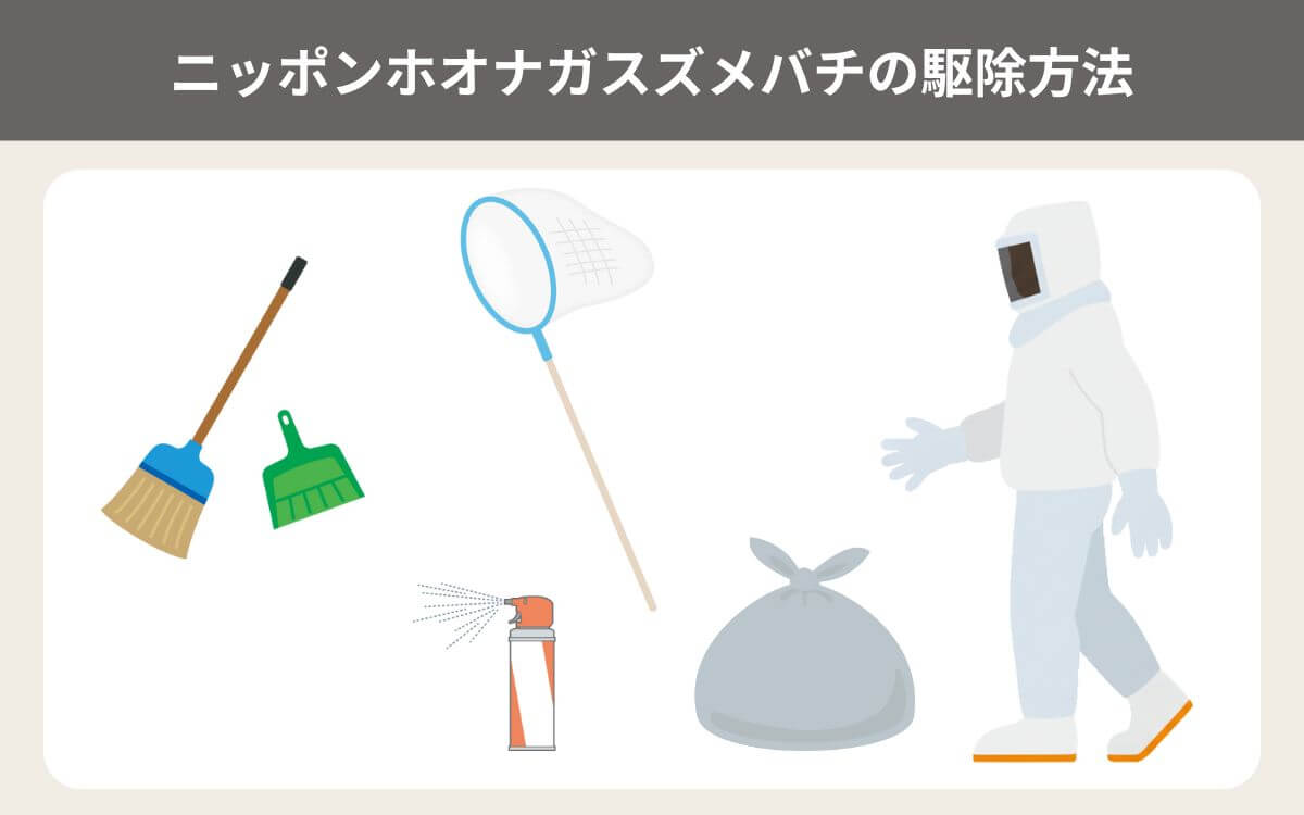 ニッポンホオナガスズメバチの駆除方法
