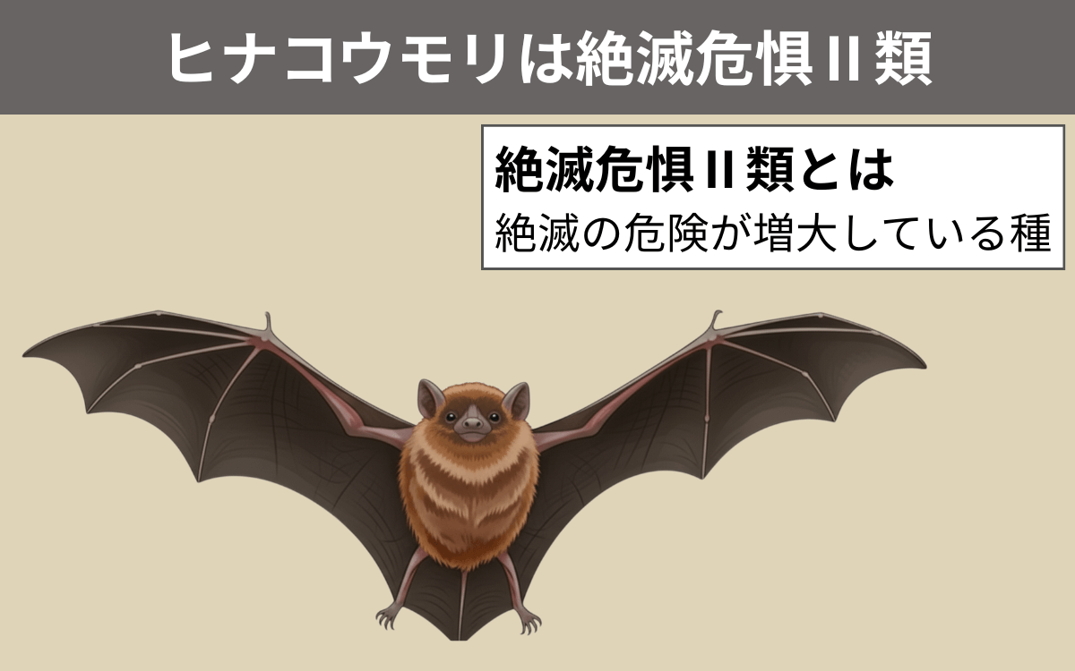 ヒナコウモリは絶滅危惧Ⅱ類