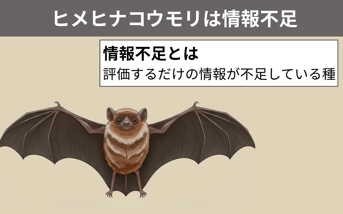 ヒメヒナコウモリは情報不足