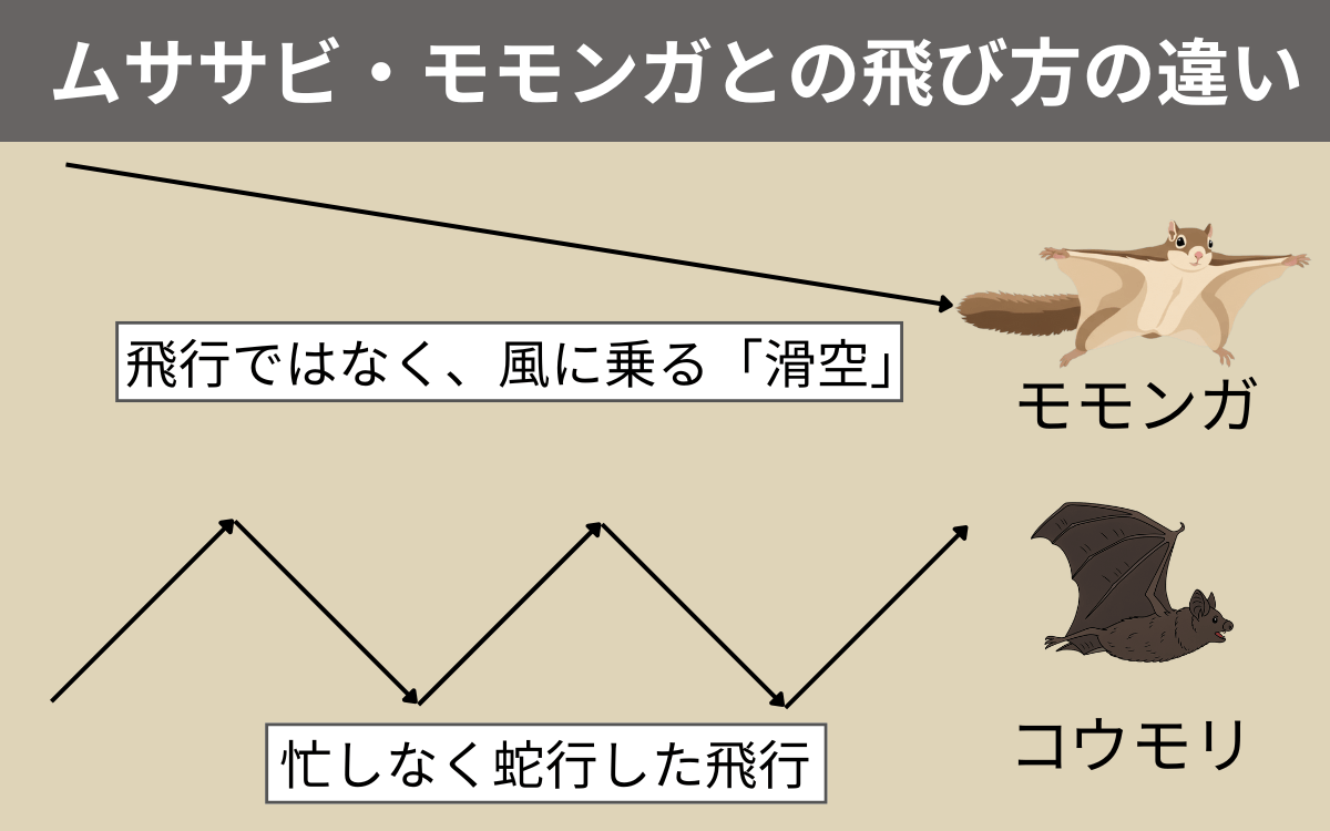 ムササビ・モモンガとの飛び方の違い