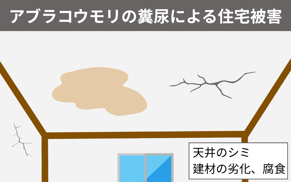 住宅被害