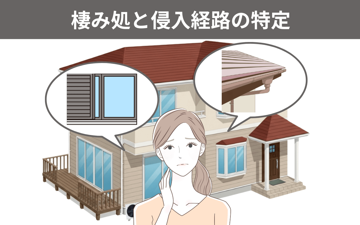 棲み処と侵入経路の特定