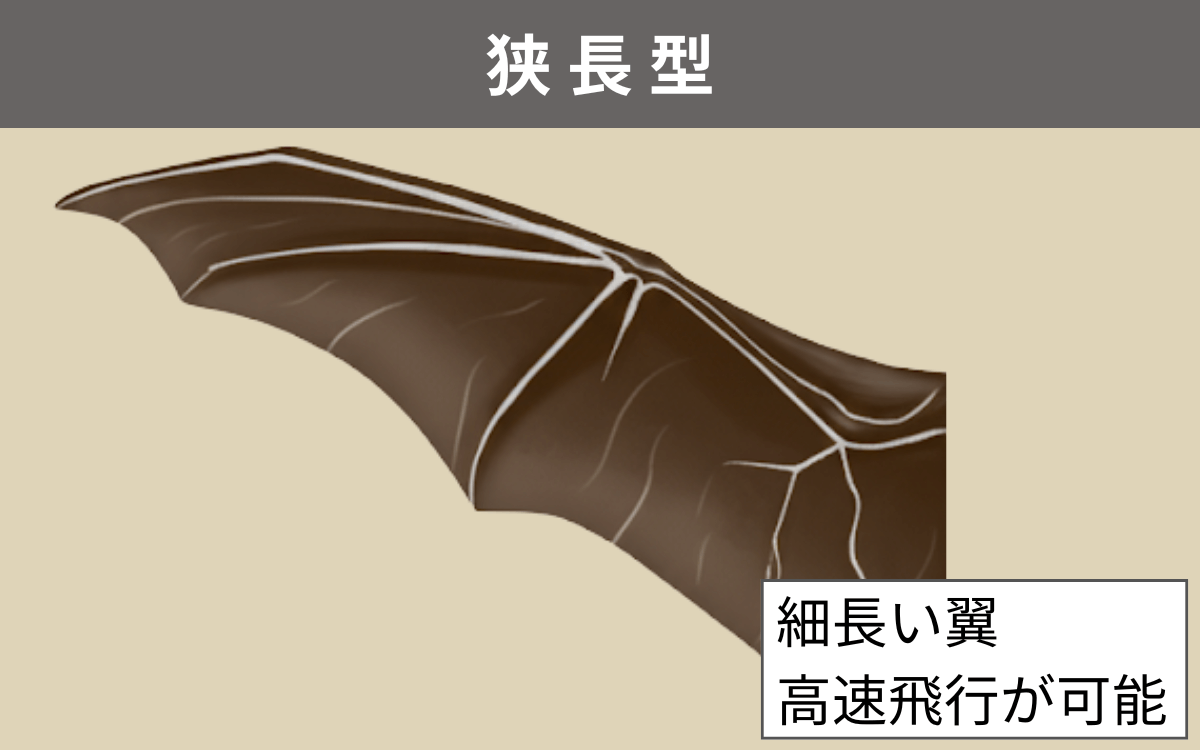 狭長型