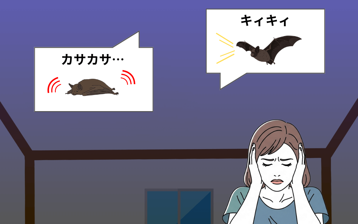 騒音被害