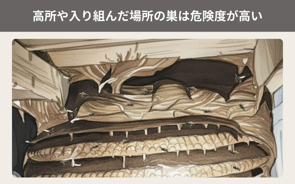 高所や入り組んだ場所の巣は危険度が高い 1