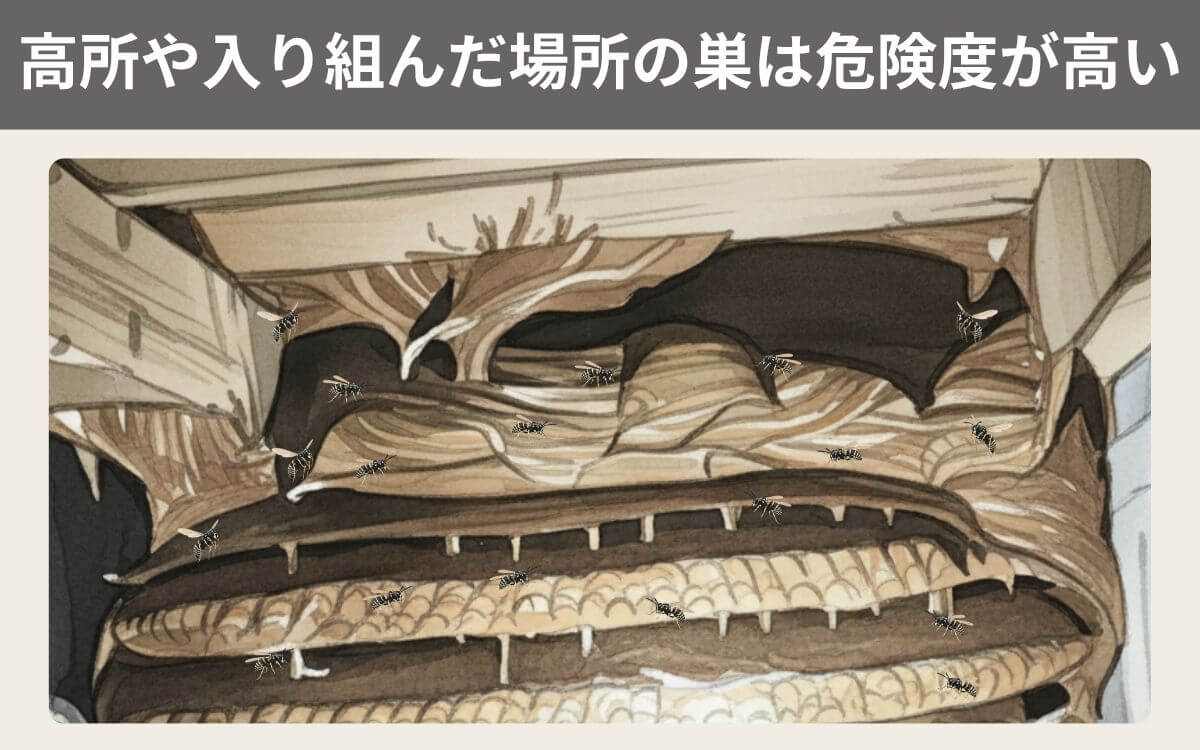 高所や入り組んだ場所の巣は危険度が高い