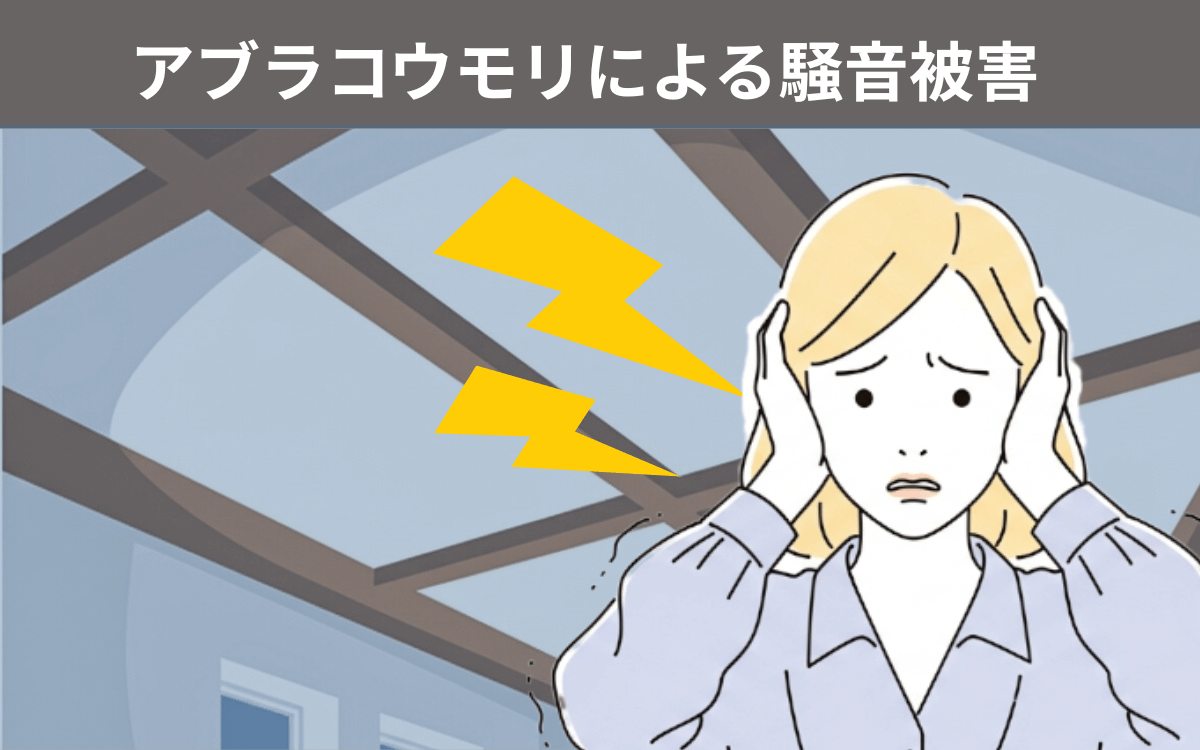 アブラコウモリによる騒音被害