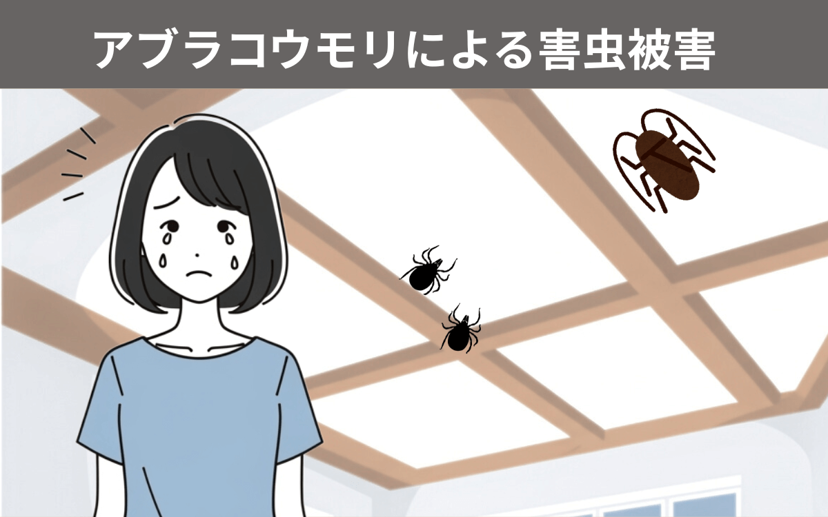 アブラコウモリの害虫被害