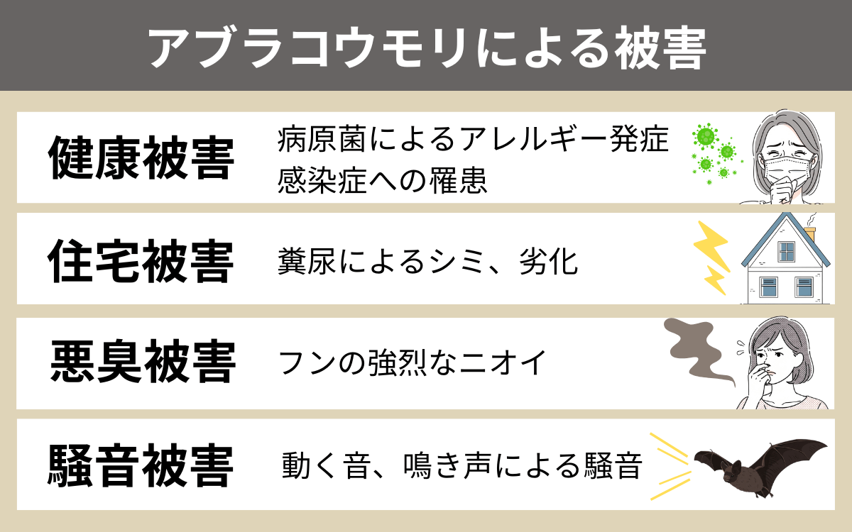 アブラコウモリによる被害