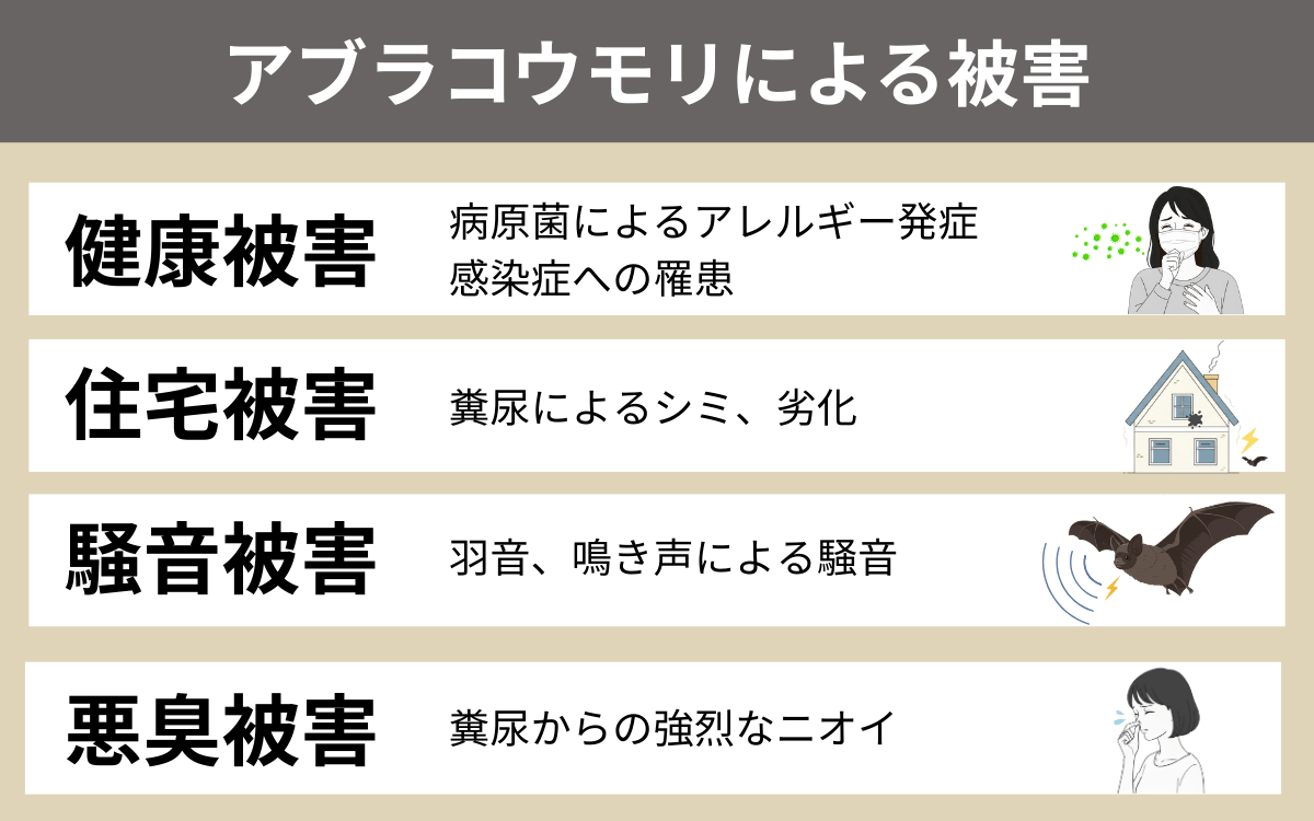 アブラコウモリによる被害 
