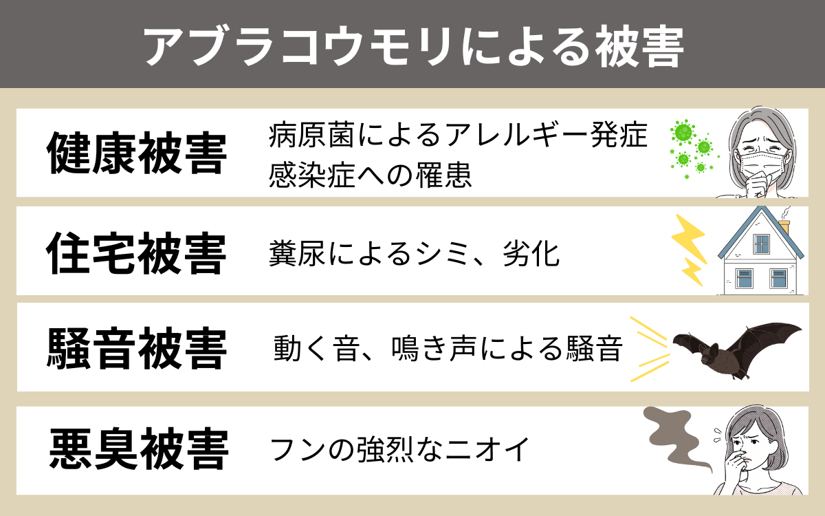 アブラコウモリによる被害