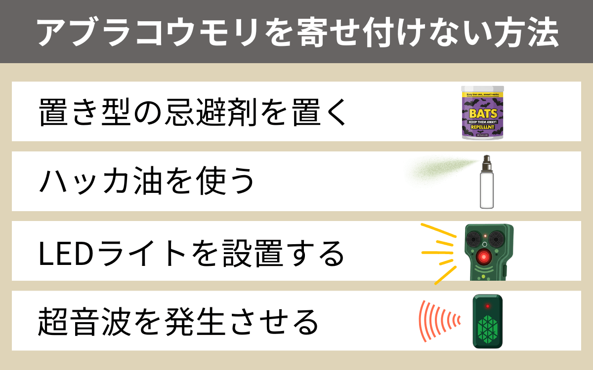 アブラコウモリを自宅に寄せ付けない方法