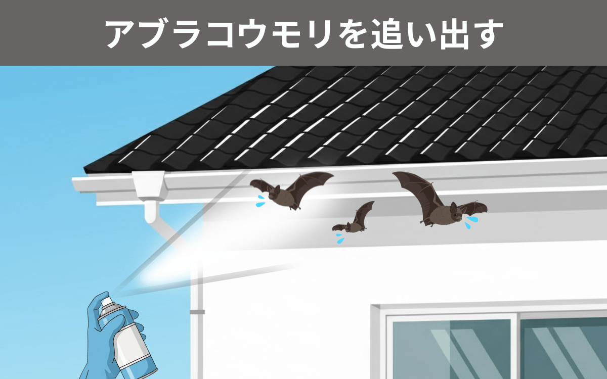 アブラコウモリを追い出す