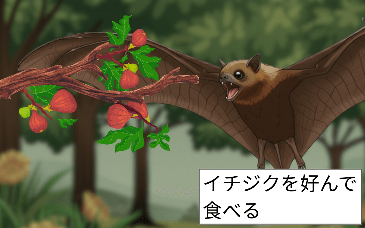 インドオオコウモリの主食