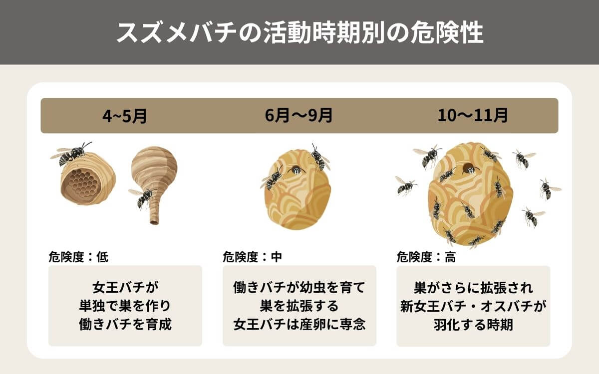 スズメバチの活動時期別の危険性