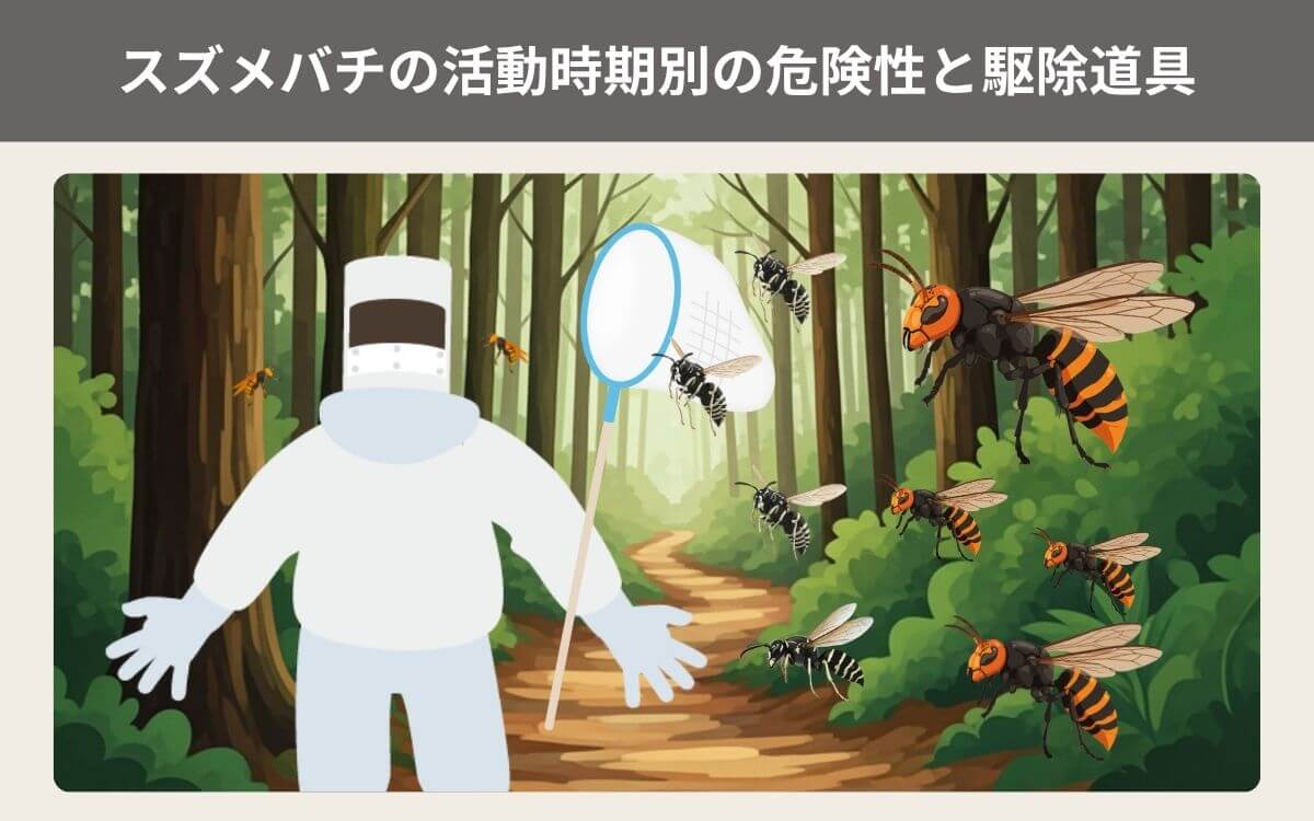 スズメバチの活動時期別の危険性と駆除道具