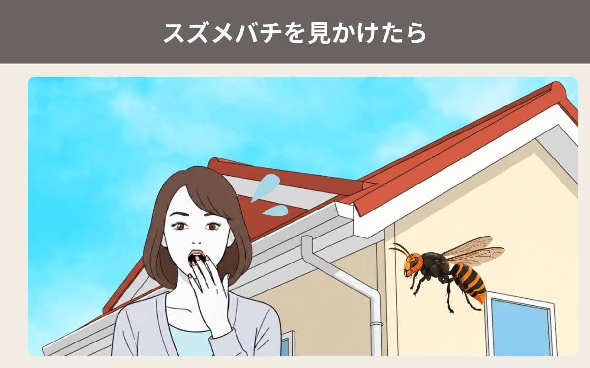 スズメバチを見かけたら