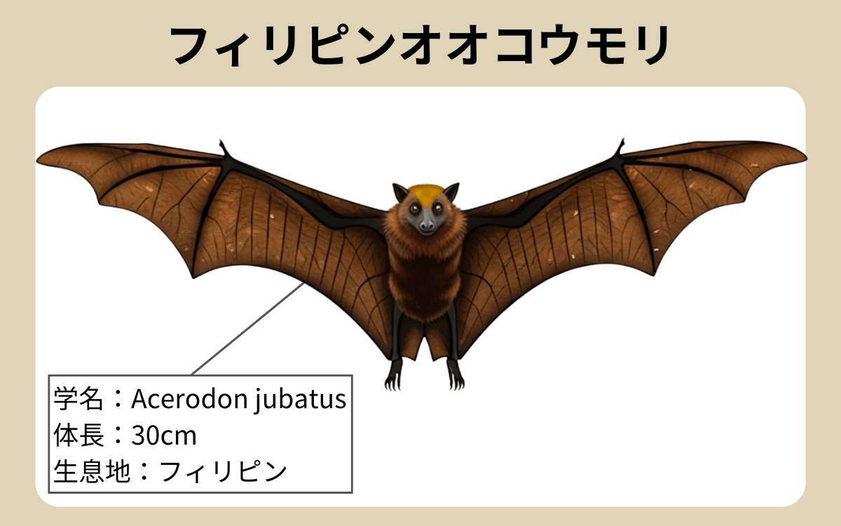 フィリピンオオコウモリ