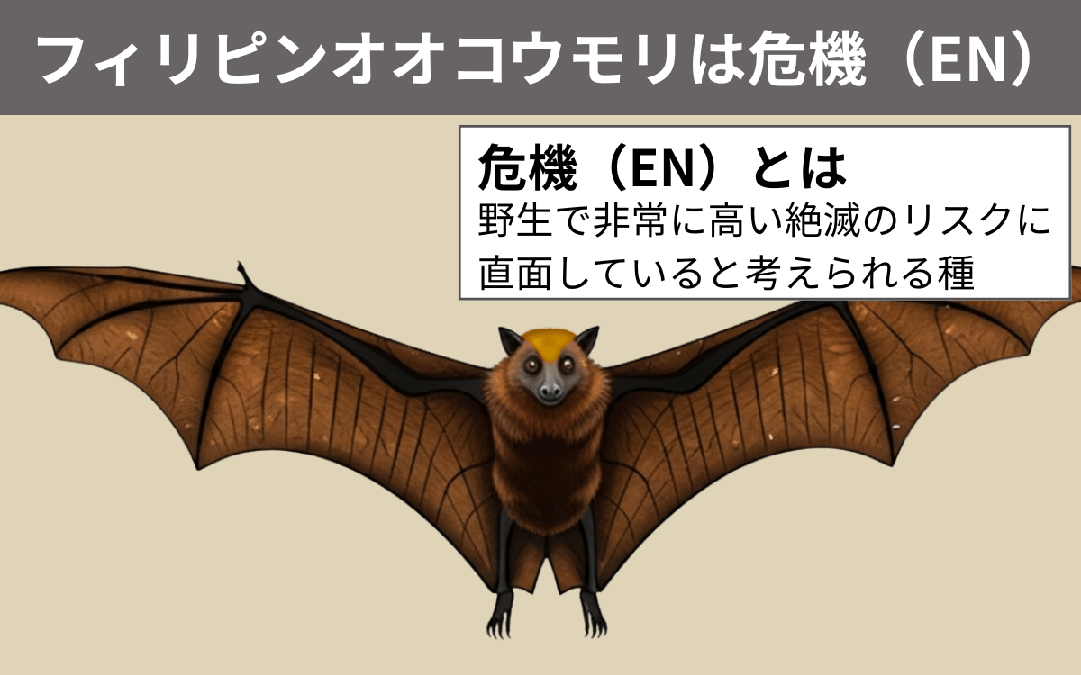 フィリピンオオコウモリは絶滅の危機にある