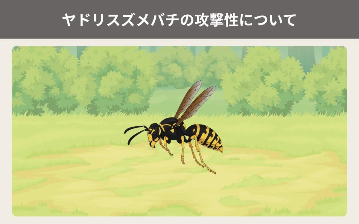 ヤドリスズメバチの攻撃性について