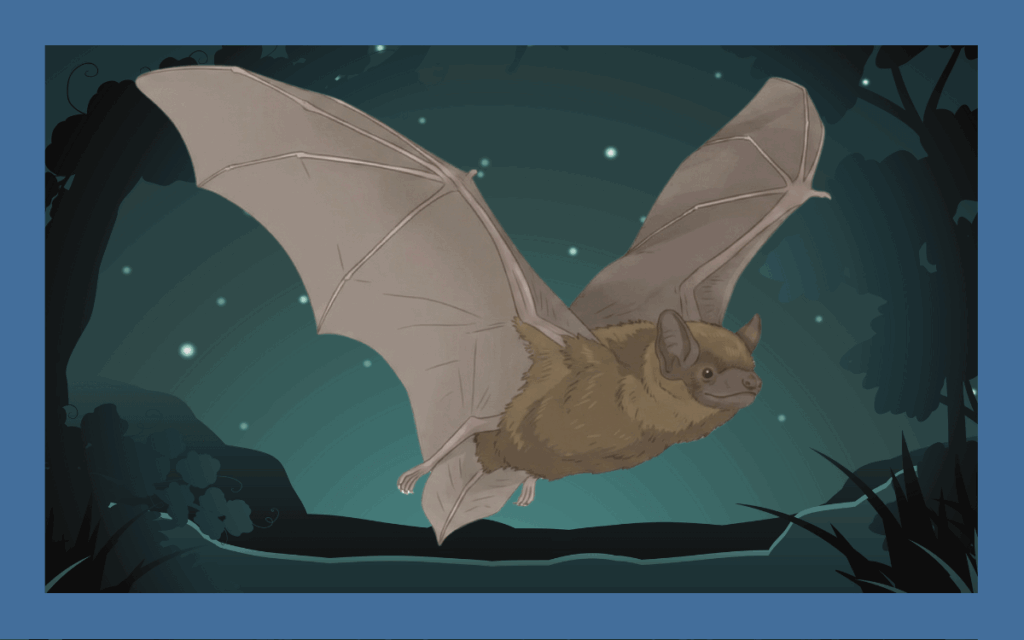 ヤマコウモリについて徹底解説！顔・主食・ねぐらなどを紹介