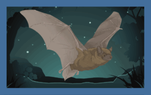 ヤマコウモリについて徹底解説！顔・主食・ねぐらなどを紹介