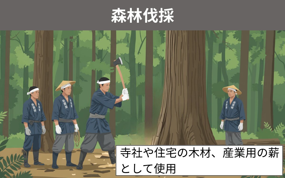 森林伐採によりオキナワオオコウモリが絶滅したと考えられる