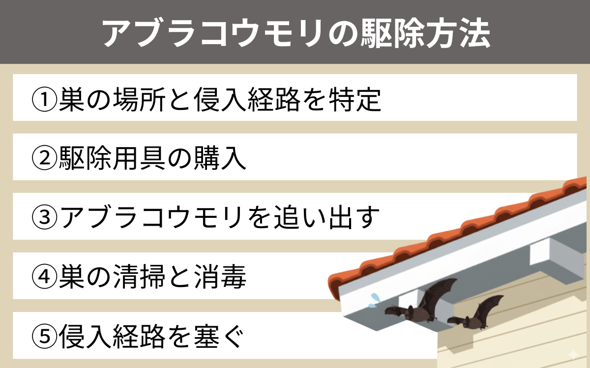 アブラコウモリの駆除方法