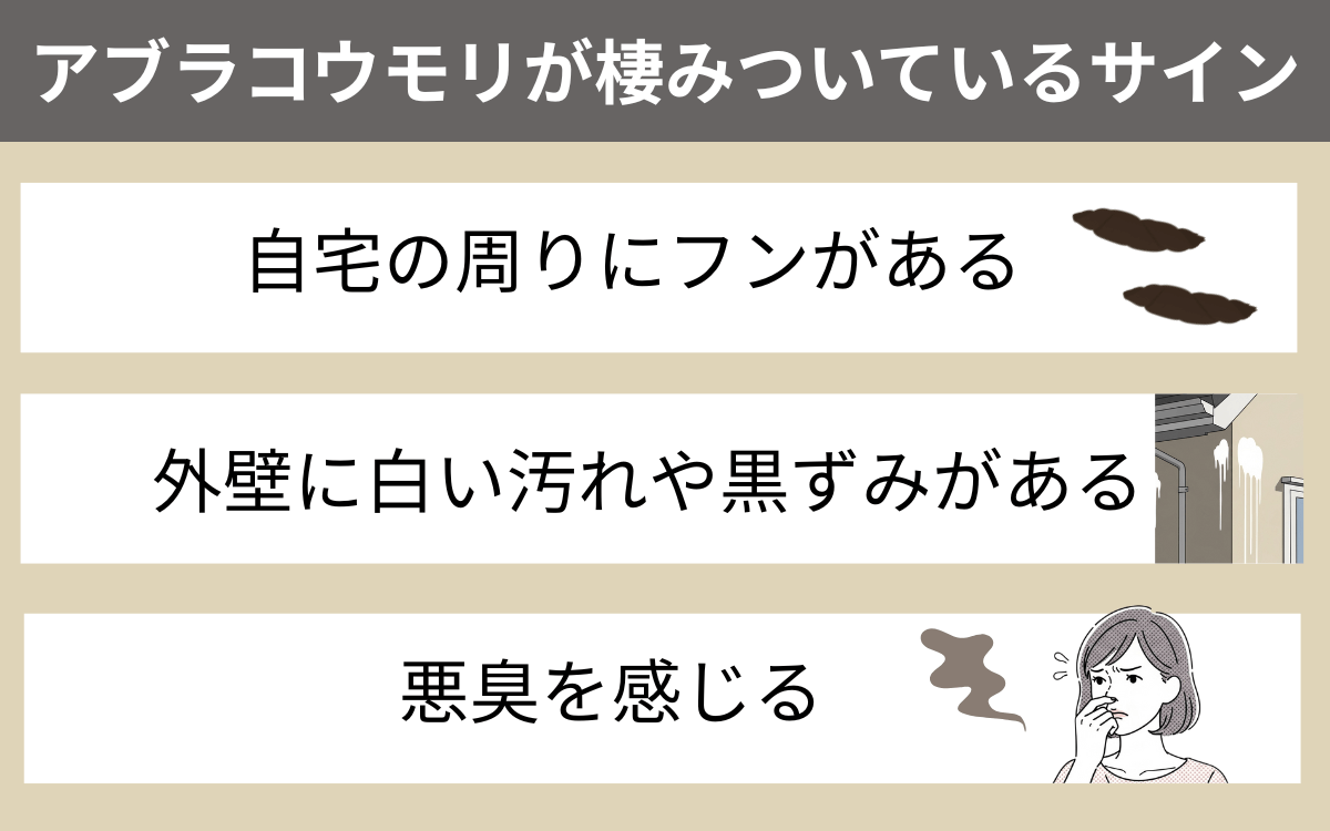 アブラコウモリが棲みついているサイン