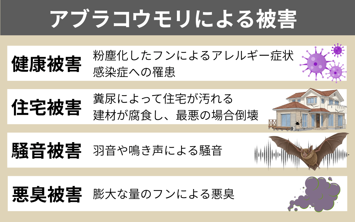 アブラコウモリによる被害 1