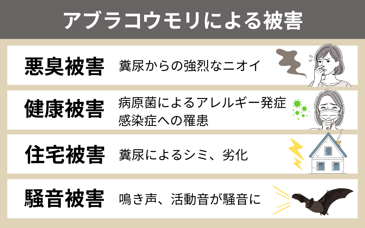 アブラコウモリによる被害