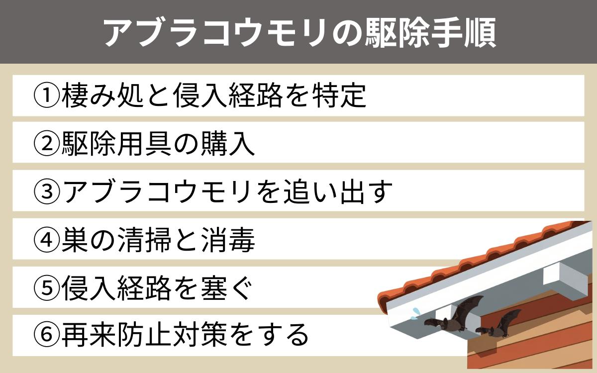 アブラコウモリの駆除手順