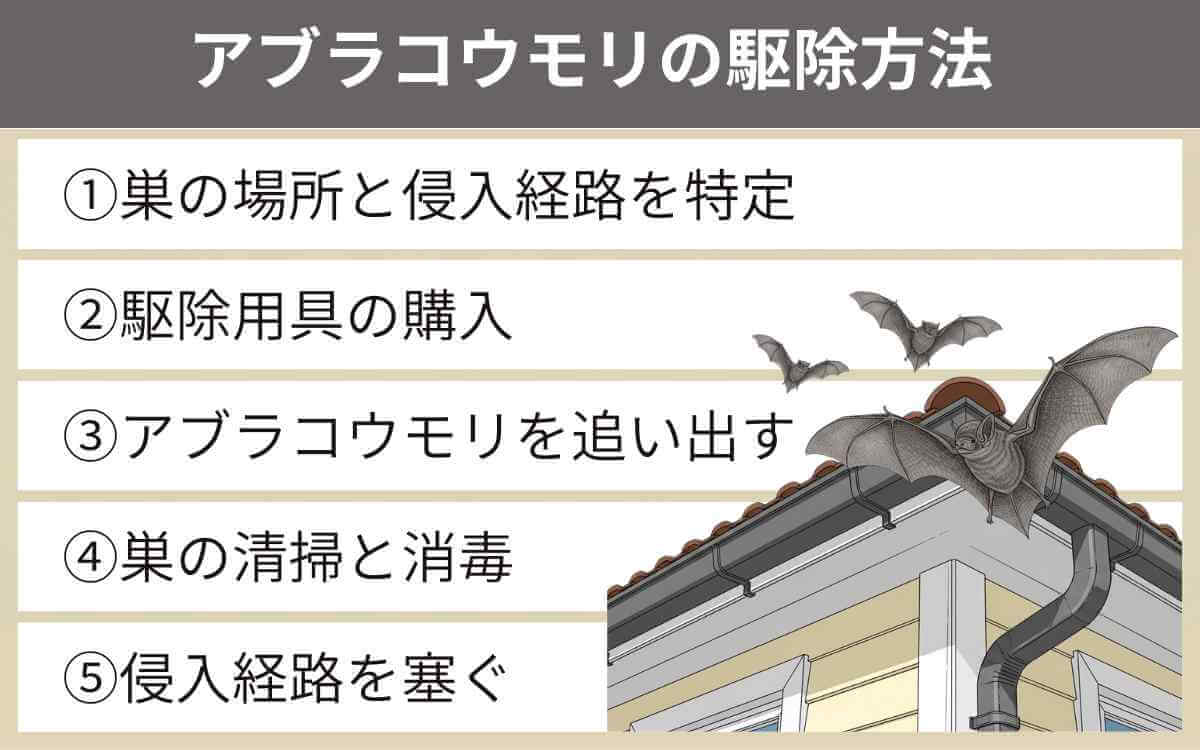アブラコウモリの駆除方法