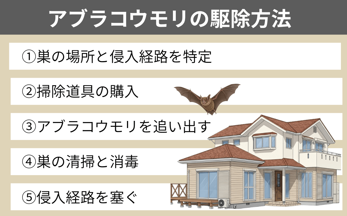 アブラコウモリの駆除方法