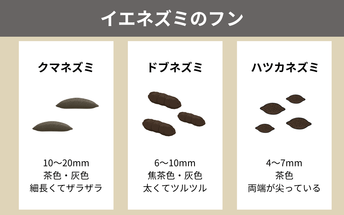 イエネズミのフン