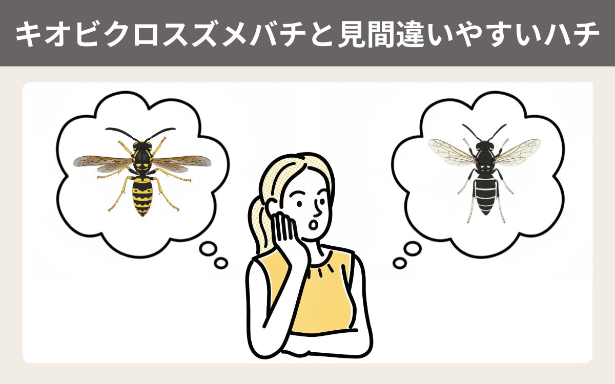 キオビクロスズメバチと見間違いやすいハチ