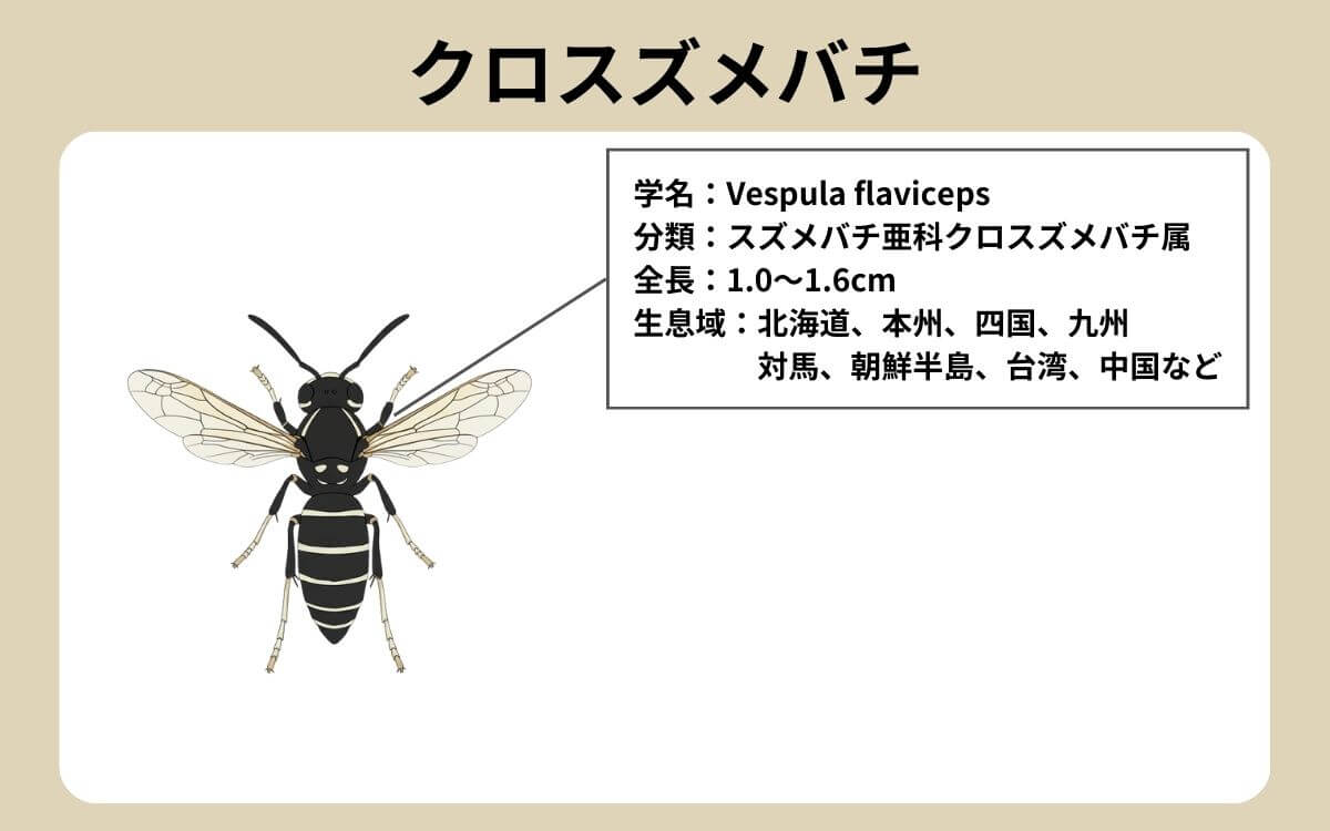 クロスズメバチってどんなハチ？