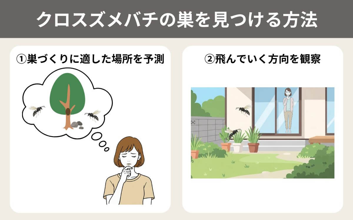 クロスズメバチの巣を見つける方法