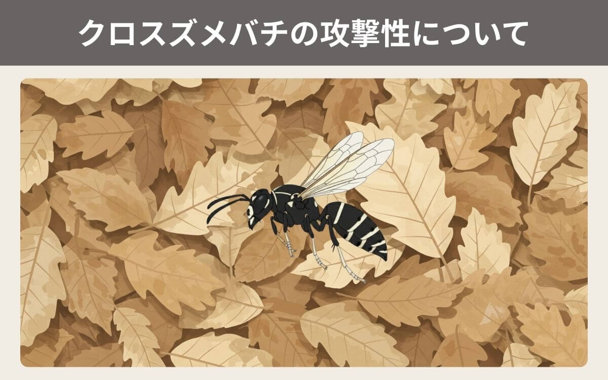クロスズメバチの攻撃性について