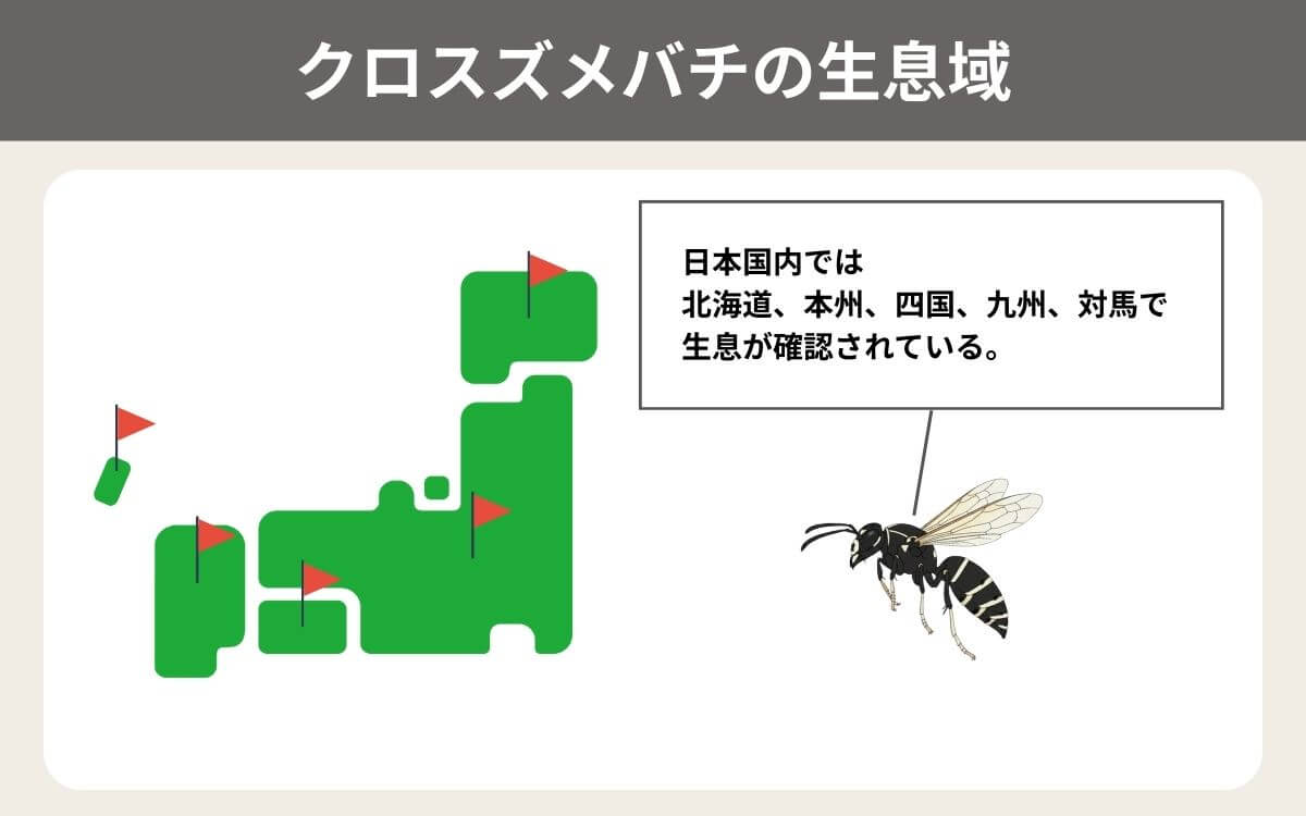 クロスズメバチの生息域