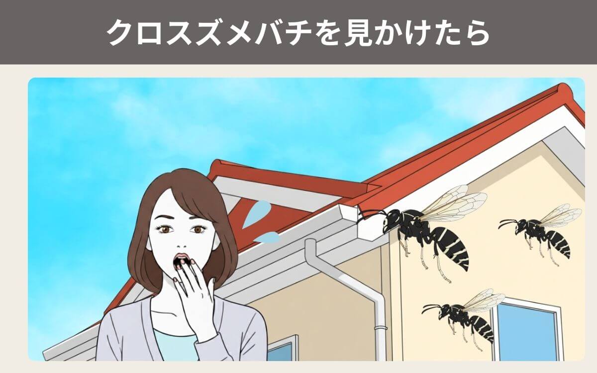 クロスズメバチを見かけたら