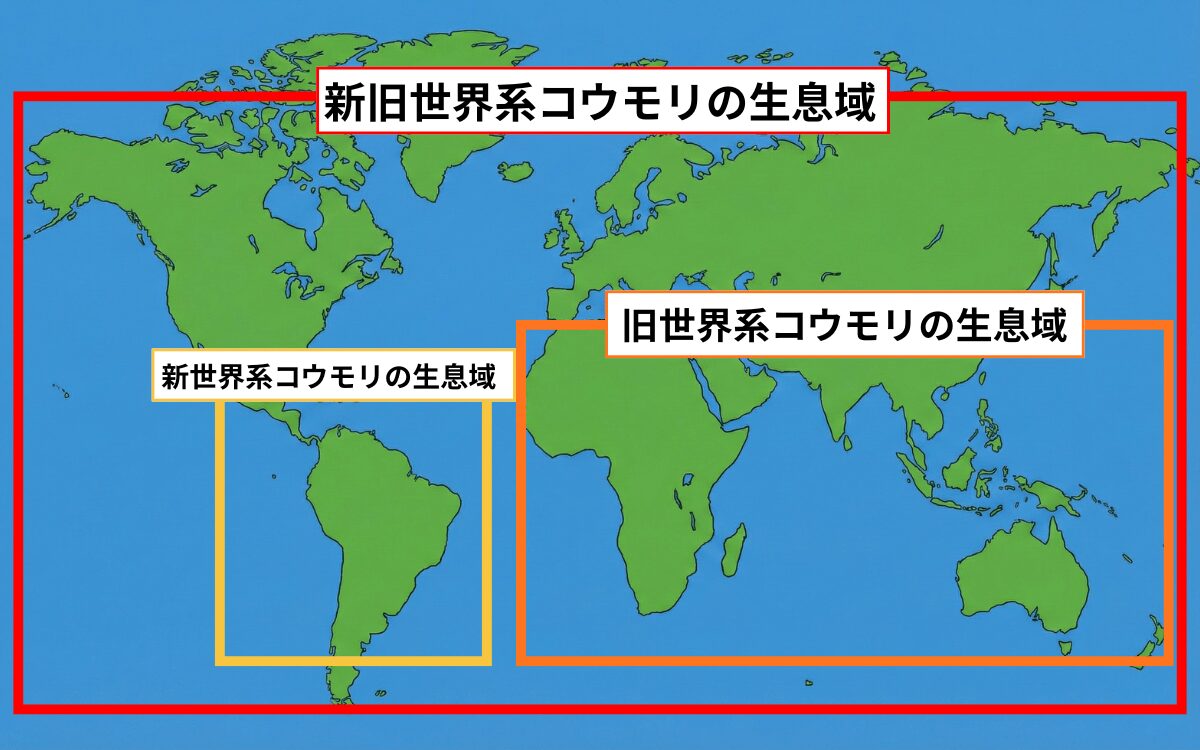 コウモリの生息域