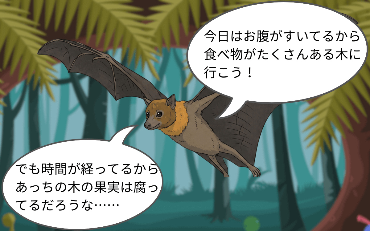 コウモリの知能