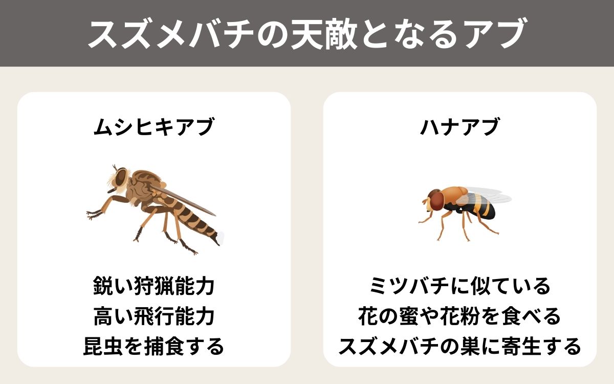 スズメバチの天敵となるアブとは