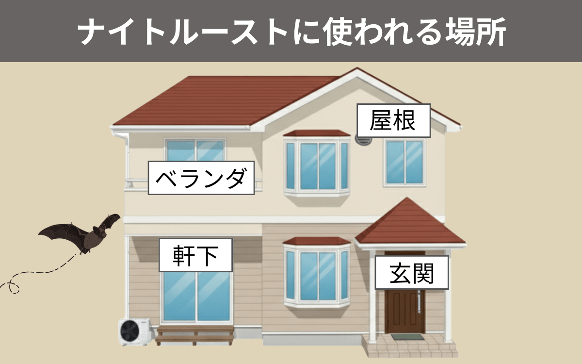 ナイトルーストに使われる場所