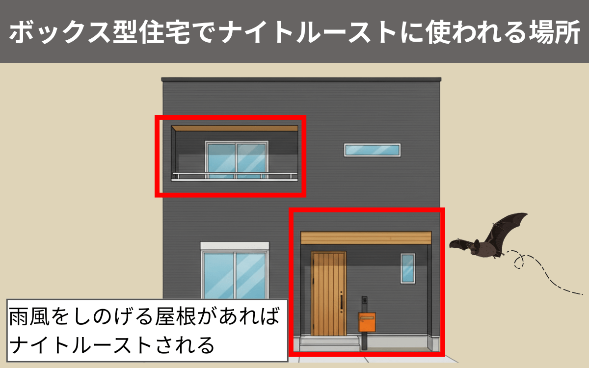 ボックス型住宅でナイトルーストに使われる場所