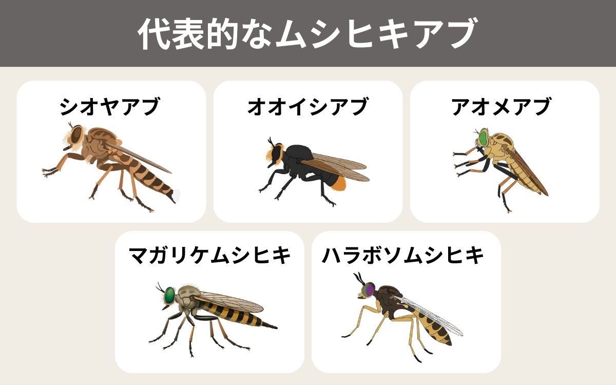 代表的なムシヒキアブ